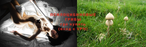 спиды Заволжск