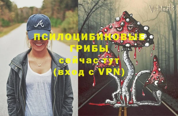 прущая мука Заводоуковск