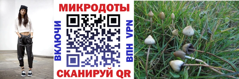 Галлюциногенные грибы ЛСД  гидра как зайти  это формула  Ставрополь 